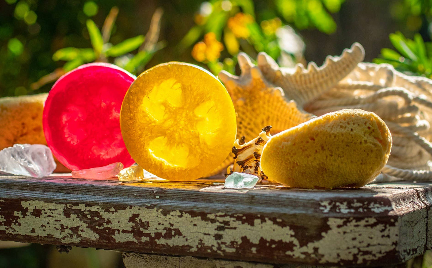 Bergamot Grapefruit Loofah Soap